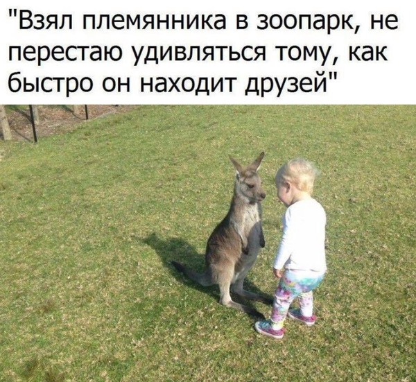 http://upforme.ru/uploads/000d/6b/61/4555/t386576.png