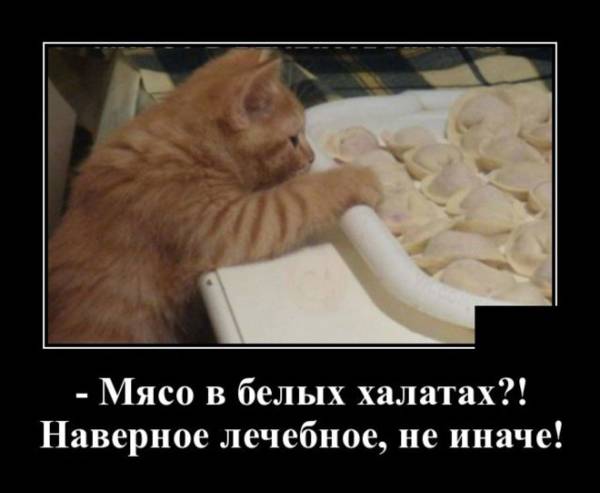 http://upforme.ru/uploads/000d/6b/61/4555/t413686.jpg