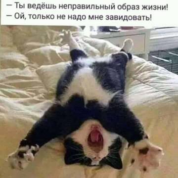 http://upforme.ru/uploads/000d/6b/61/4555/t414969.jpg