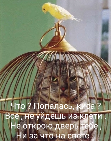http://upforme.ru/uploads/000d/6b/61/4555/t416650.jpg
