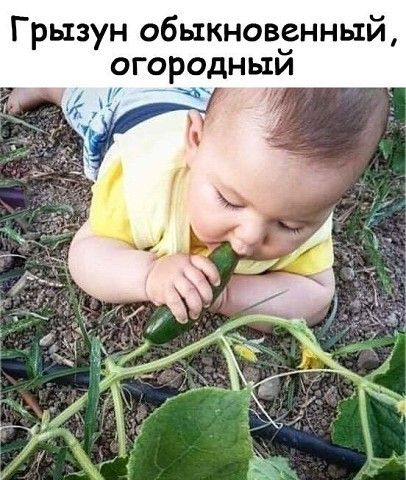 http://upforme.ru/uploads/000d/6b/61/4555/t41957.png