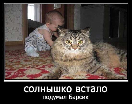 http://upforme.ru/uploads/000d/6b/61/4555/t422865.jpg