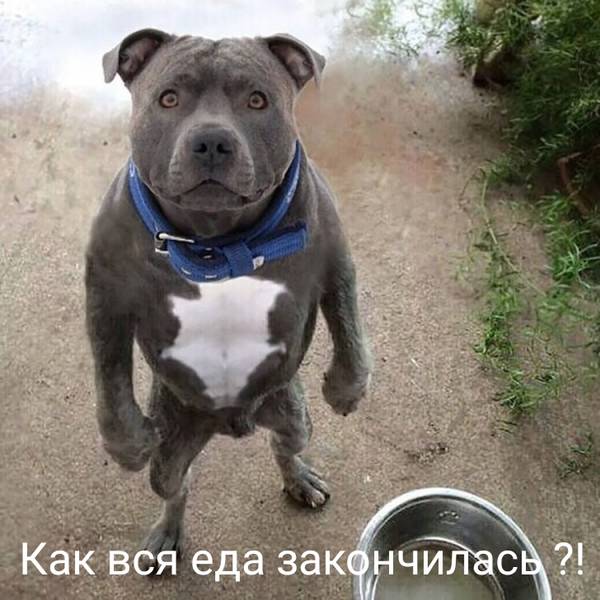 http://upforme.ru/uploads/000d/6b/61/4555/t426253.jpg