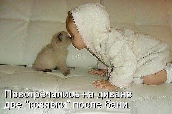 http://upforme.ru/uploads/000d/6b/61/4555/t434346.jpg