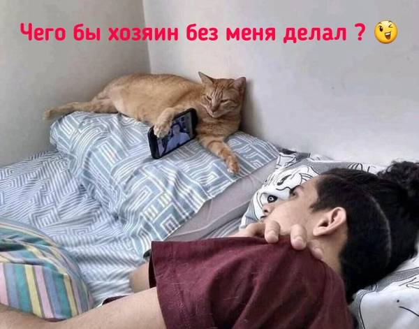 http://upforme.ru/uploads/000d/6b/61/4555/t434703.jpg