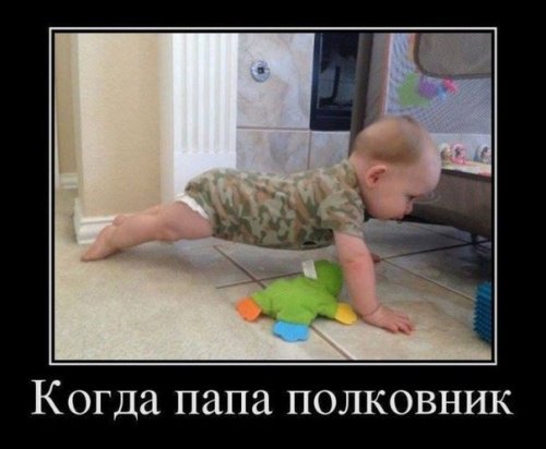 http://upforme.ru/uploads/000d/6b/61/4555/t437123.jpg