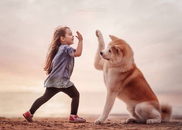 http://upforme.ru/uploads/000d/6b/61/4555/t438507.jpg