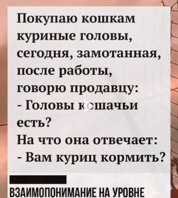 http://upforme.ru/uploads/000d/6b/61/4555/t473470.jpg