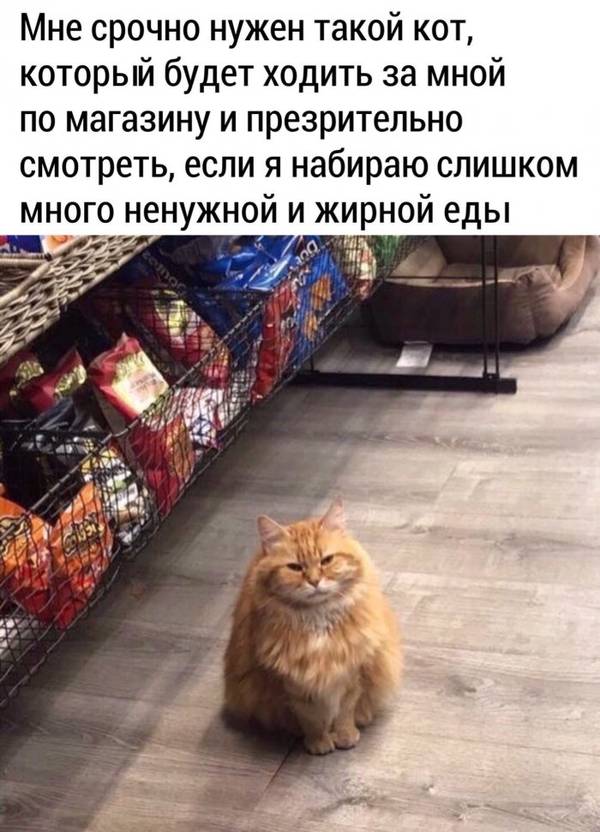 http://upforme.ru/uploads/000d/6b/61/4555/t493042.jpg