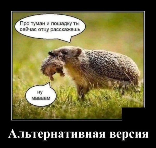 http://upforme.ru/uploads/000d/6b/61/4555/t494446.webp