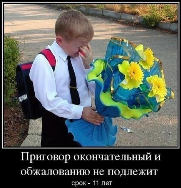 http://upforme.ru/uploads/000d/6b/61/4555/t498599.jpg