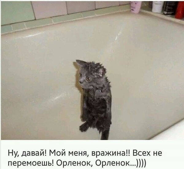 http://upforme.ru/uploads/000d/6b/61/4555/t526841.jpg
