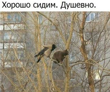 http://upforme.ru/uploads/000d/6b/61/4555/t53525.jpg