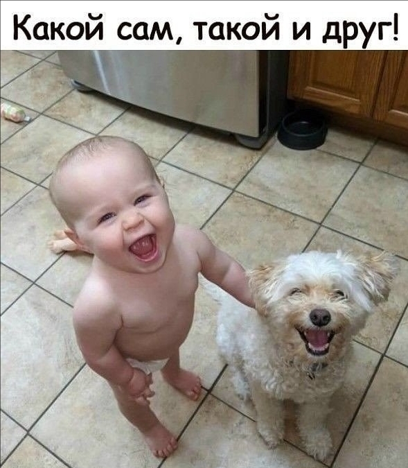 http://upforme.ru/uploads/000d/6b/61/4555/t542823.jpg