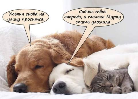 http://upforme.ru/uploads/000d/6b/61/4555/t544250.jpg
