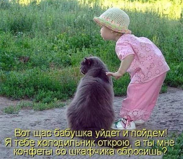 http://upforme.ru/uploads/000d/6b/61/4555/t544987.jpg