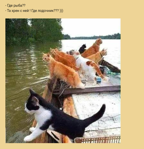 http://upforme.ru/uploads/000d/6b/61/4555/t555930.png