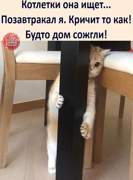 http://upforme.ru/uploads/000d/6b/61/4555/t563631.jpg