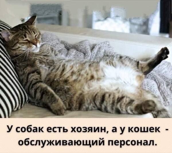 http://upforme.ru/uploads/000d/6b/61/4555/t564485.jpg
