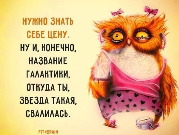 http://upforme.ru/uploads/000d/6b/61/4555/t57103.jpg