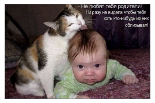 http://upforme.ru/uploads/000d/6b/61/4555/t571669.jpg