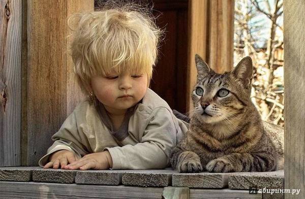 http://upforme.ru/uploads/000d/6b/61/4555/t59398.jpg