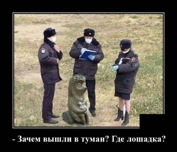 http://upforme.ru/uploads/000d/6b/61/4555/t598319.jpg