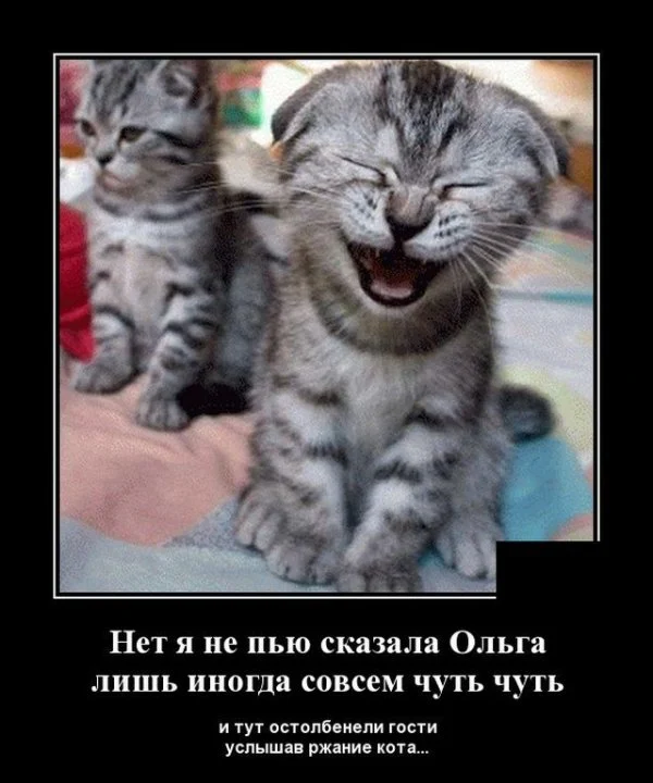 http://upforme.ru/uploads/000d/6b/61/4555/t610535.webp
