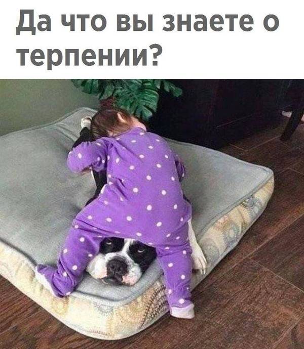 http://upforme.ru/uploads/000d/6b/61/4555/t616376.jpg