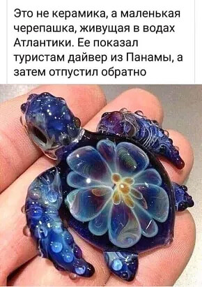 http://upforme.ru/uploads/000d/6b/61/4555/t63020.jpg