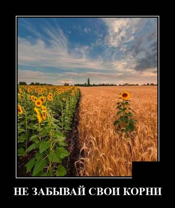 http://upforme.ru/uploads/000d/6b/61/4555/t631491.jpg