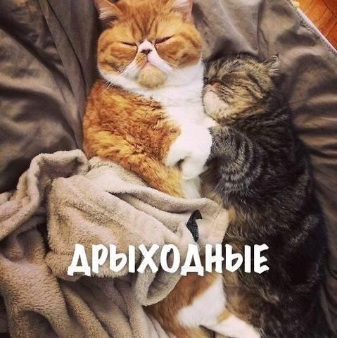 http://upforme.ru/uploads/000d/6b/61/4555/t634322.jpg
