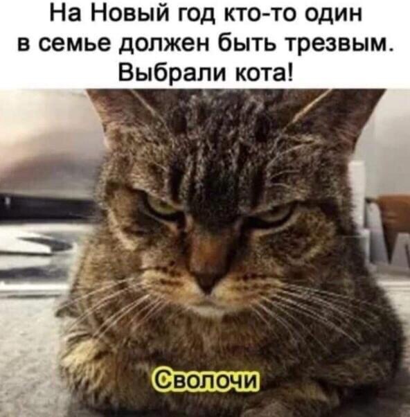 http://upforme.ru/uploads/000d/6b/61/4555/t637328.jpg