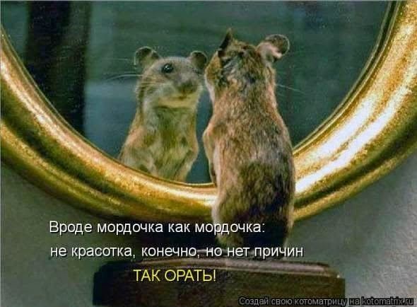 http://upforme.ru/uploads/000d/6b/61/4555/t643996.jpg