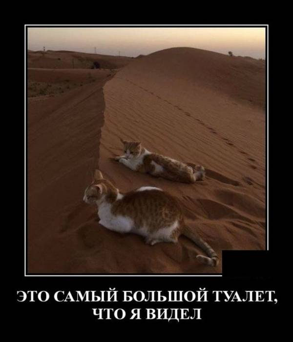 http://upforme.ru/uploads/000d/6b/61/4555/t65421.jpg