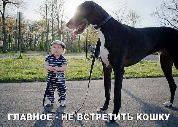 http://upforme.ru/uploads/000d/6b/61/4555/t668508.jpg