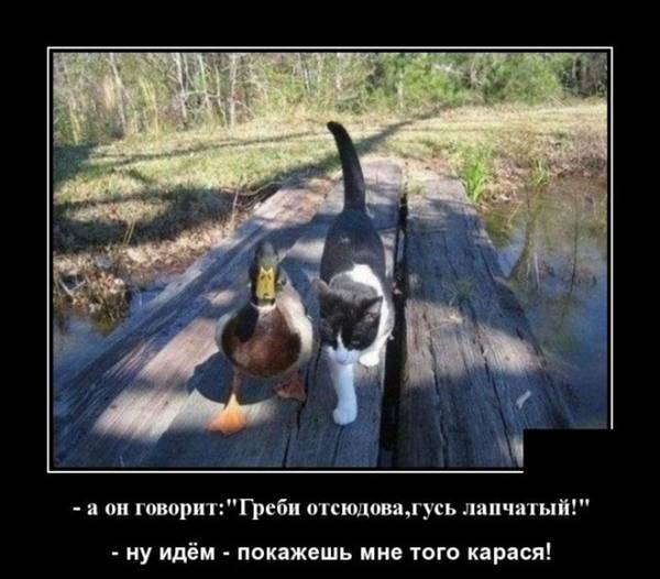 http://upforme.ru/uploads/000d/6b/61/4555/t70380.jpg