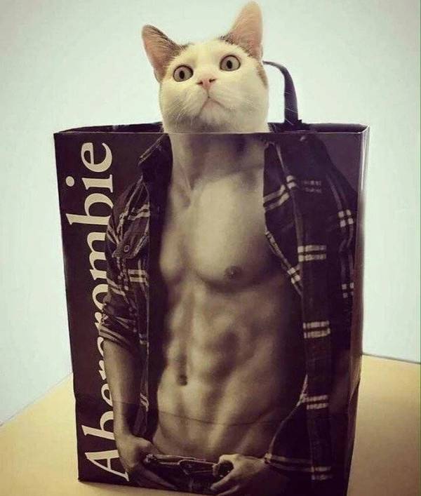 http://upforme.ru/uploads/000d/6b/61/4555/t712542.jpg