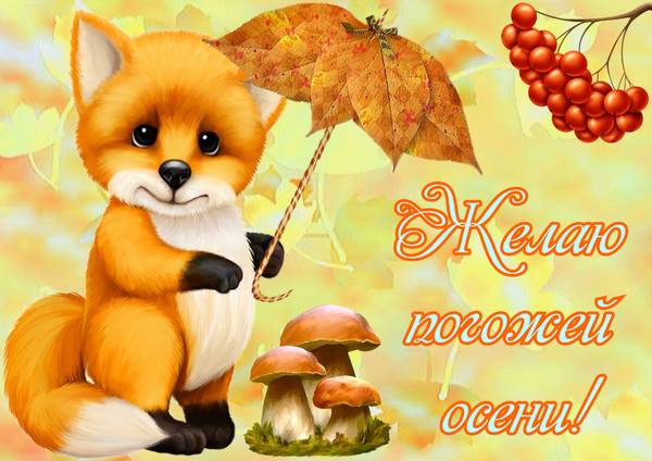 http://upforme.ru/uploads/000d/6b/61/4555/t721227.jpg