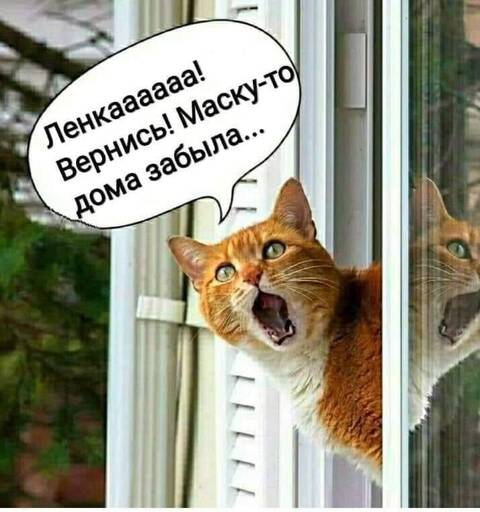 http://upforme.ru/uploads/000d/6b/61/4555/t727443.jpg