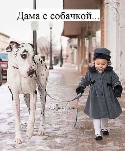 http://upforme.ru/uploads/000d/6b/61/4555/t735884.jpg