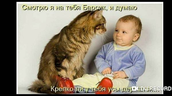 http://upforme.ru/uploads/000d/6b/61/4555/t746207.jpg