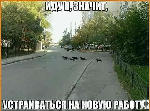 http://upforme.ru/uploads/000d/6b/61/4555/t753008.jpg