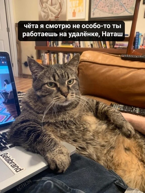 http://upforme.ru/uploads/000d/6b/61/4555/t756146.jpg