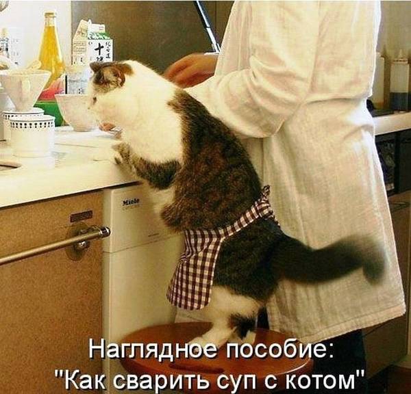 http://upforme.ru/uploads/000d/6b/61/4555/t772372.jpg