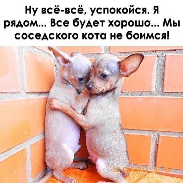 http://upforme.ru/uploads/000d/6b/61/4555/t774700.jpg