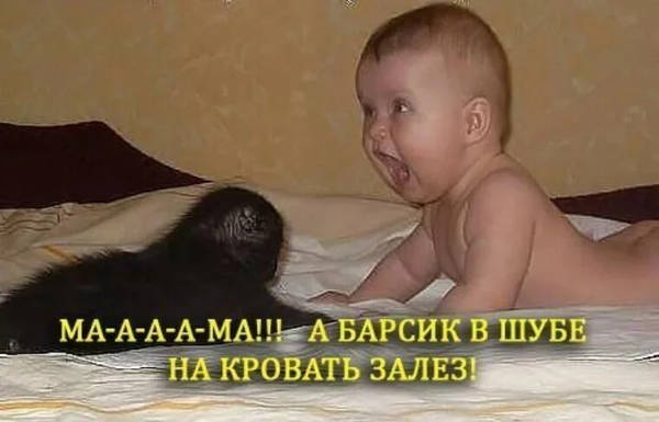 http://upforme.ru/uploads/000d/6b/61/4555/t794741.jpg