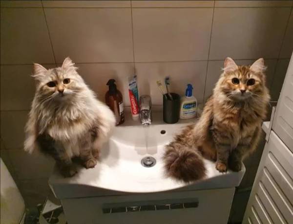 http://upforme.ru/uploads/000d/6b/61/4555/t799810.jpg