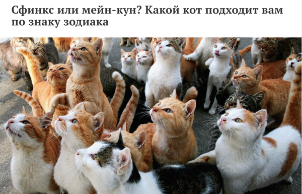 http://upforme.ru/uploads/000d/6b/61/4555/t800082.png