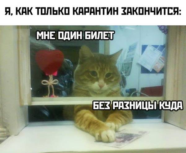 http://upforme.ru/uploads/000d/6b/61/4555/t802923.jpg